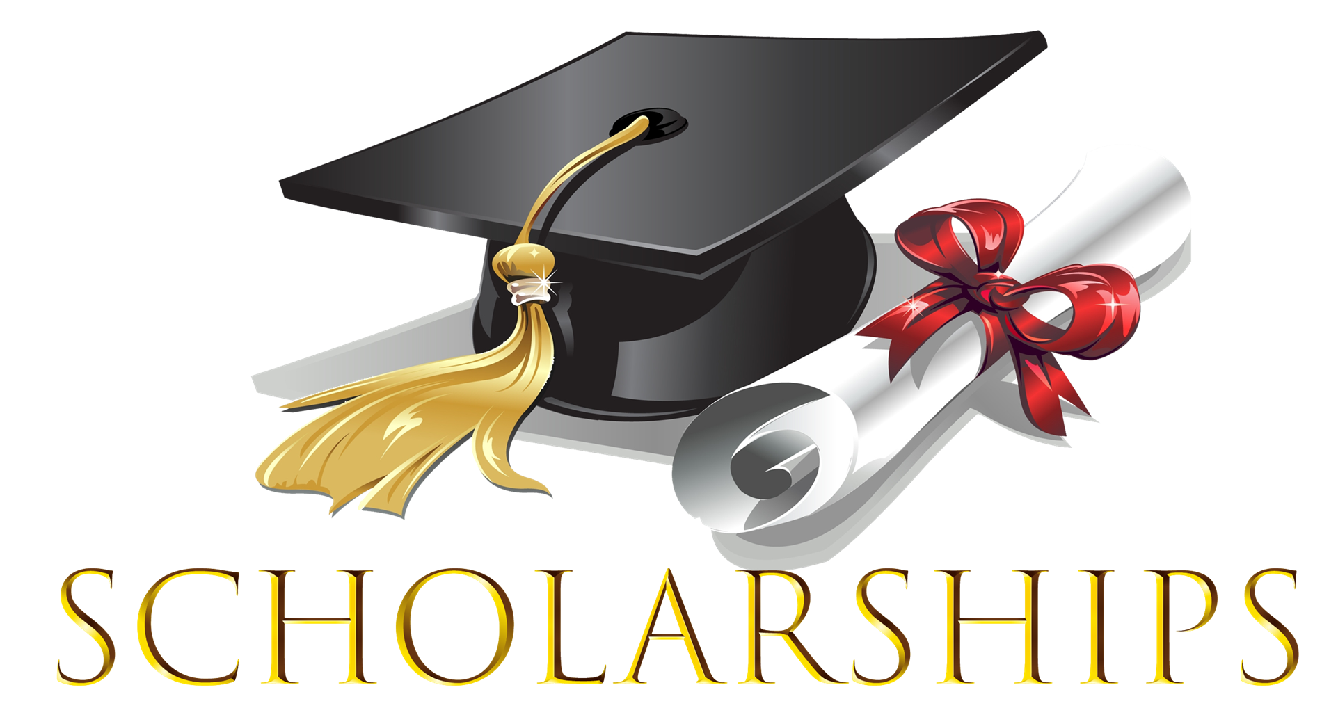 Bernardi Scholarship 05/01